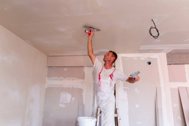 Reliable White Center, WA Dry wall and painting Solutions